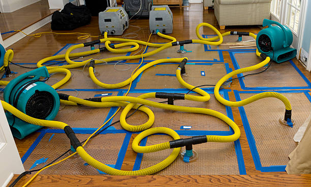 Professional Sewage Cleanup technician working in Athens, AL